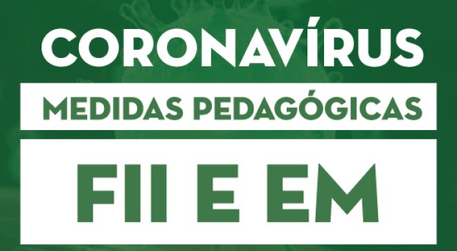 FII e EM: Medidas pedaggicas - EAD - So Paulo da Cruz