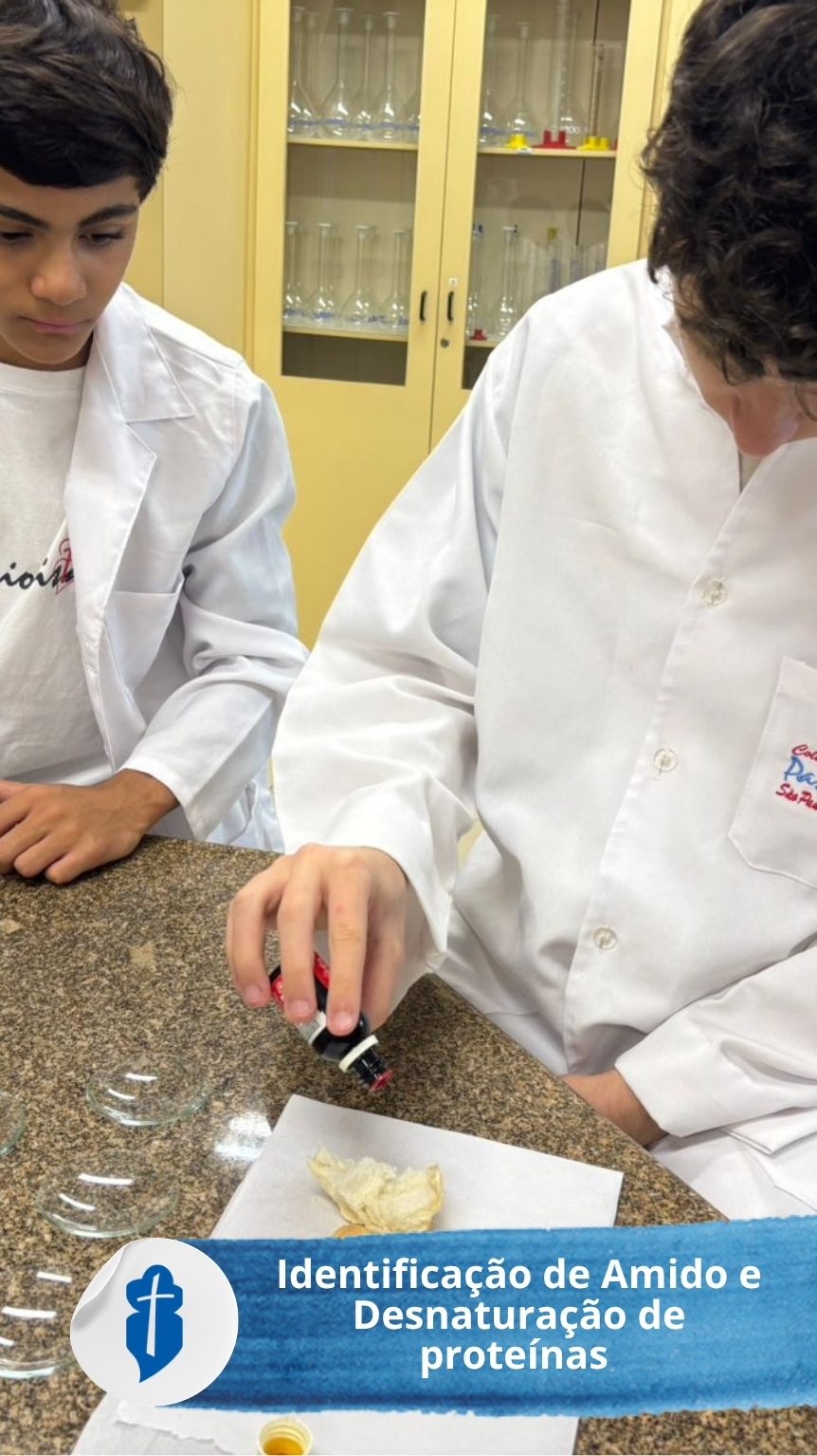 Identifica��o de amido e Desnatura��o de prote�nas S�o Paulo da Cruz