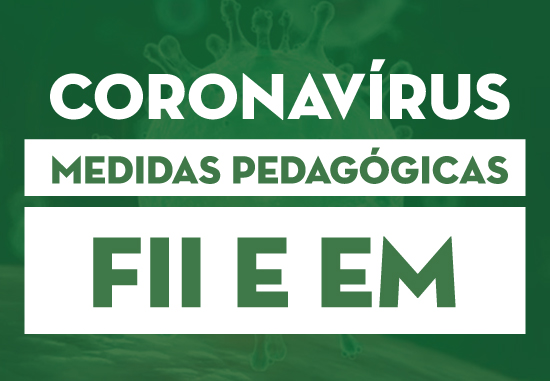 FII e EM: Medidas pedaggicas - EAD So Paulo da Cruz
