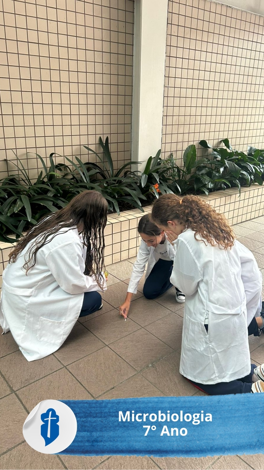 Microbiologia com 7� Ano S�o Paulo da Cruz