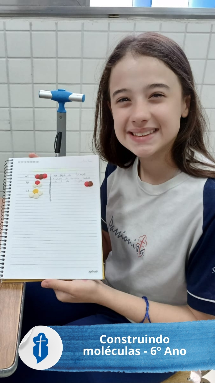 Construindo mol�culas - 6� Ano S�o Paulo da Cruz