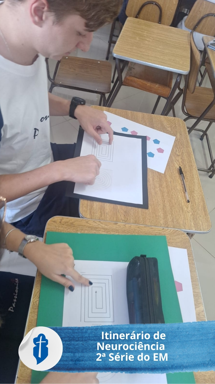Itiner�rio de Neuroci�ncia - 2� S�rie do Ensino M�dio S�o Paulo da Cruz