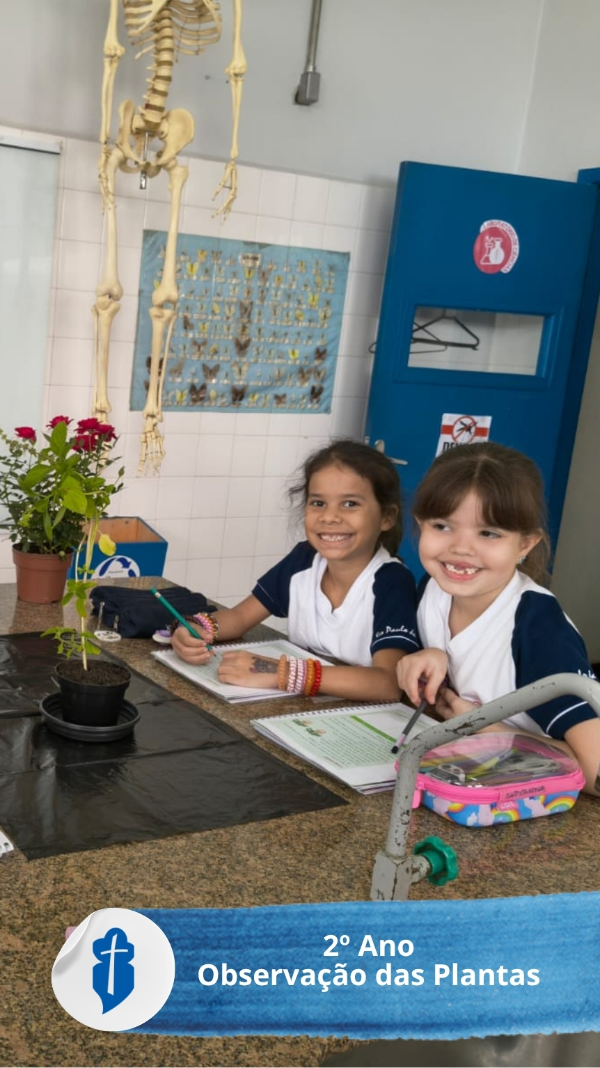 Observa��o das Plantas - 2� Ano S�o Paulo da Cruz