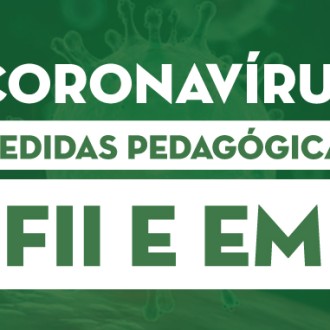 FII e EM: Medidas pedaggicas - EAD - So Paulo da Cruz