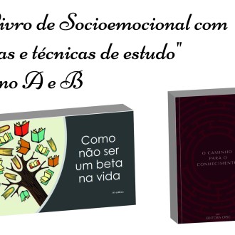 Livro - Tcnicas e sugestes de estudo para Socioemocional - 8os anos A e B - So Paulo da Cruz