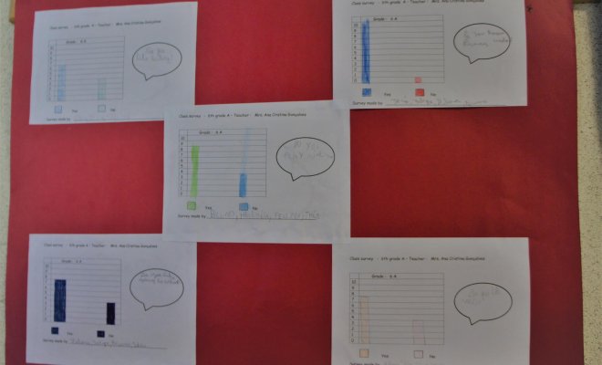 2019 - 6th and 7h grades - Double Bar Graphs