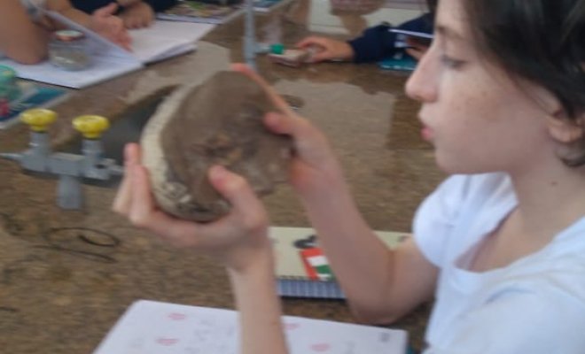 2019 - Estudo de rochas e minerais - 6 Ano - Educadora Idalina